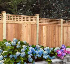 Cedar fence with Lattice