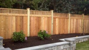 What Kind of Cedar Is Used in Fencing